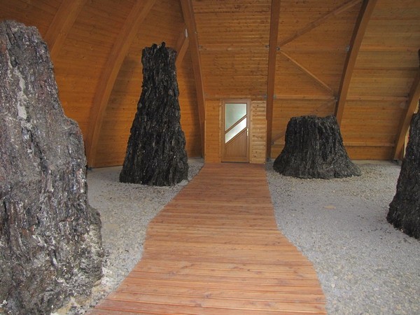 A bükkábrányi megkövesedett fa leletek  - big